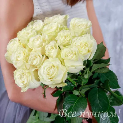 Букет белых роз, Цветы и подарки Владивосток, Приморский край, Россия,  купить по цене 5250 RUB, Авторские букеты в Ameliya с доставкой | Flowwow