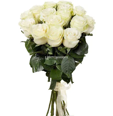 15 белых роз – купить с доставкой в Москве по низкой цене