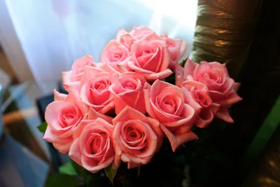 Букеты из роз на полу - подборка (69 фото) — Gorodprizrak