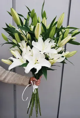 Лилии с розами в коробке - 19 шт. за 13 290 руб. | Бесплатная доставка  цветов по Москве