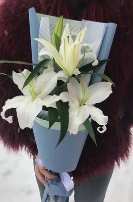 Купить лилии в коробке Флорентина по доступной цене с доставкой в Москве и  области в интернет-магазине Город Букетов