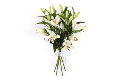 Купить букет цветов из белой лилии (5 веток), синих ирисов (20 штук) и  декоративной зелени с доставкой по Киеву. Низкая цена, быстрая доставка.