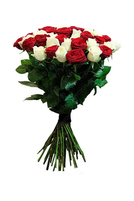 ✓ Букет цветов \"Анжелика\" ◈ Купить он-лайн в интернет-магазине цветов  Цветариус ◈ Цена - 7 800 руб. ◈ (Артикул - сб123)