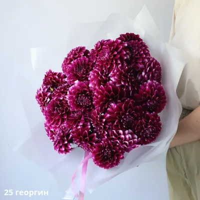 Букет из 15 георгин с зеленью - Арт. 4222