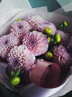 Букет из фиолетовых георгин - заказать доставку цветов в Москве от Leto  Flowers