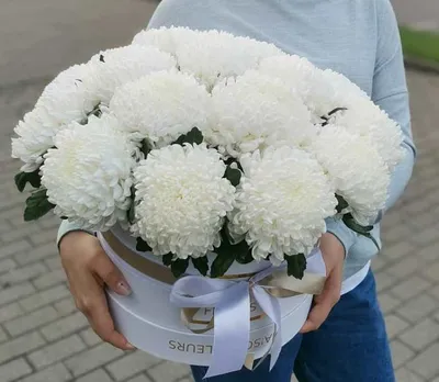 Букет с георгинами и гортензией