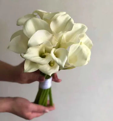 Букет из калл и орхидей - 17 шт. за 10 990 руб. | Бесплатная доставка  цветов по Москве