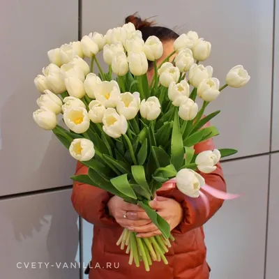 Букет тюльпанов на 8 марта | купить недорого с доставкой на Roza4u.ru