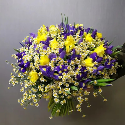 Букет из нарциссов - купить по доступной цене цветки в Москве с доставкой  от интернет-магазина flavoshop.com