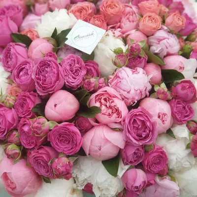 Букет 272 с кустовыми пионовидными розами и пионами купить в Минске — Цена  в интернет-магазине