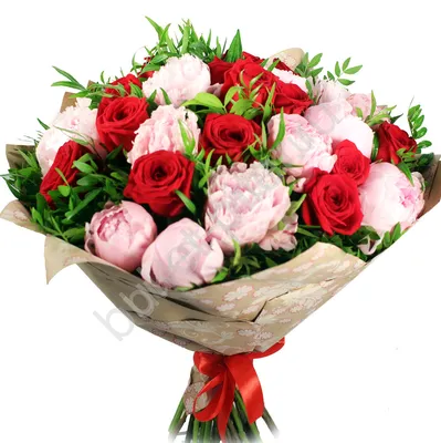 Букет «Пионы с розой» | Доставка круглосуточно | flower25.ru