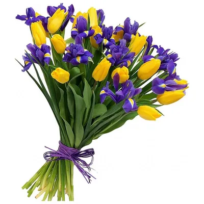 Купить букет из 29 желтых тюльпанов и ирисов \"Гармония\" в Киеве -  AnnetFlowers