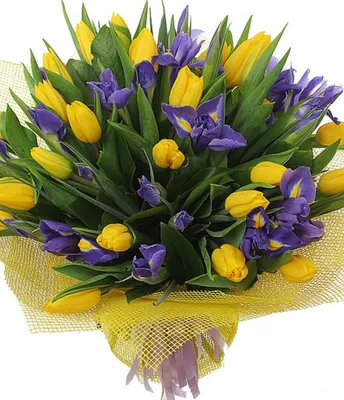 Букет тюльпанов с ирисами – Цвет`ок – дорогая цветочная лавка