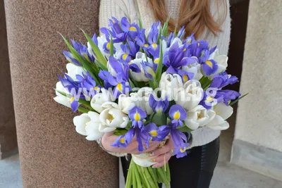 Купить жёлтые тюльпаны и ирисы в Москве с доставкой – TopFlo.ru