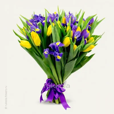 Букет ирисов и желтых тюльпанов купить с доставкой в Москве | Заказать букет  цветов недорого
