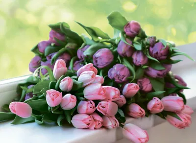 8 марта цветы и букеты с доставкой Розбери