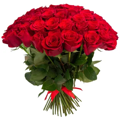 Букет из 35 красных роз Эквадор 70 см - купить в Москве по цене 10990 р -  Magic Flower