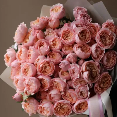 Купить Букеты розы Джульетта пионовидные в Москве недорого с доставкой