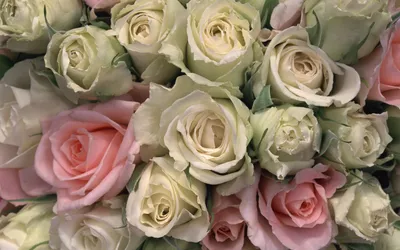 Розы картинки красивые букеты (62 фото)