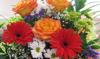 Обои цветы, герберы, букеты, раздел Цветы, размер 2592x1944 - скачать  бесплатно картинку на рабочий стол и телефон