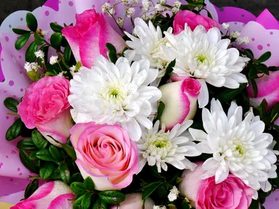 Букет цветов хризантемы и розы - 68 фото