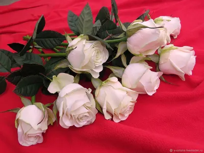 Букеты: Розы – заказать на Ярмарке Мастеров – L1Y3ERU | Композиции, Москва