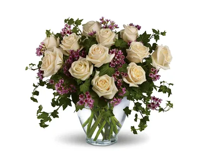 Фотографии Букеты Розы Цветы Ваза Белый фон | Классификация роз, Доставка  цветов, Цветы день рождения