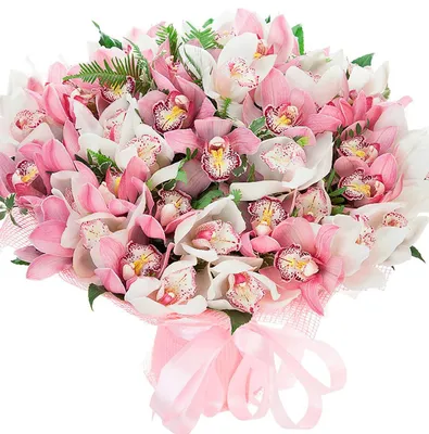 Artflower.kz | Букет из 51 орхидеи - Купить с доставкой в Алматы по лучшей  цене