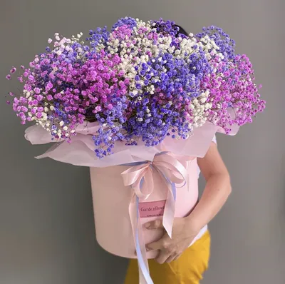 Цветы в интерьере прованс на фото, как лучше всего использовать прованские  цветы и букеты. Фото, советы по составлению букетов
