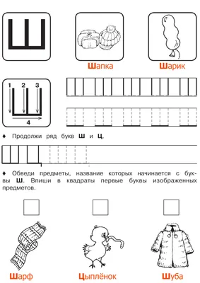 Раскраски, Буква \"Ш\" стихи про шишку. Красивые раскраски., Буква \"Ш\" стихи  про шишку. Картинки раскраски., Буква \"Ш\" стихи про шишку. Распечатать  раскраски..