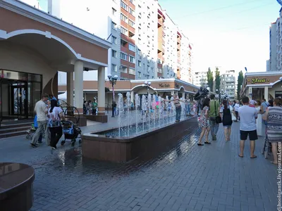 Бульвар роз