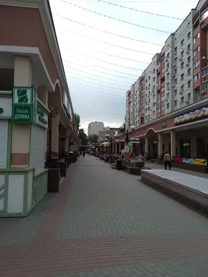 Танцующая пара\" на \"Бульваре Роз\" :: Геокэшинг ::