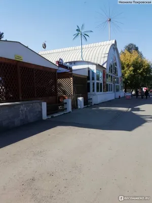 Пропала собака на бульваре Роз, Энгельс | Pet911.ru