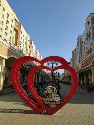 Кафе | «Поляна»