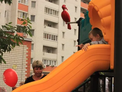 Строительство цветомузыкального фонтана в парке Энгельса - Наши работы -  Vodalux-fontan.ru