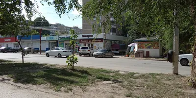 Огромное количество агрессивных крыс атаковало Бульвар Роз в Энгельсе