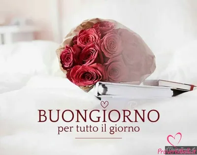 buongiornoooo | TikTok