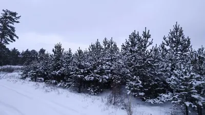 ⠀ВОЛШЕБНЫЙ ЗИМНИЙ БУРАБАЙ ❄❄❄ ⠀Боровое зимой – это настоящая ожившая  сказка! 😜⠀И как во всякой сказке, Вас ожидает масса… | Instagram