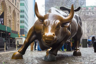 Фото Нью-Йорк Быки США Памятники Рога Charging Bull Города штаты | Wall  street, Credit default swap, Stock market