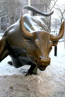 Обвинение статуи быка на Уолл-стрит – Стоковое редакционное фото ©  MichaelFitzsimmons #159610002