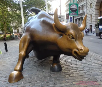 Статуя быка \"Атакующий бык\" (Бык Уолл-Стрит) - Нью-Йорк, США - где  находится, описание, цены, фото, отзывы 2023