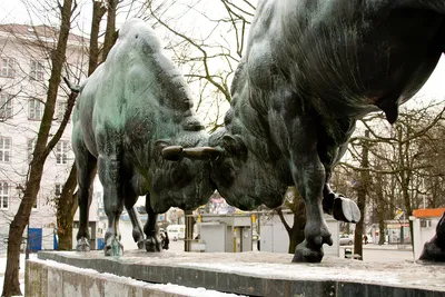 В Нью-Йорке, на Уолл-стрит, вандал повредил статую \"Атакующего быка\"