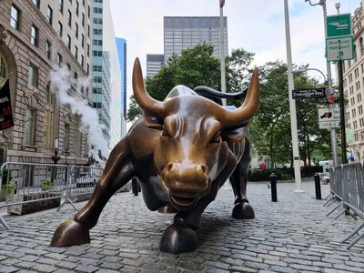 Секреты Нью-Йорка: у 'Атакующего быка' на Уолл-стрит есть третий рог -  ForumDaily New York