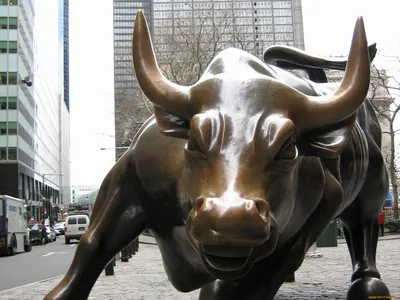 НЬЮ-ЙОРК - 21 января: Ориентировочный заряд быка в Нижнем Нью-Йорке –  Стоковое редакционное фото © Mishella #52976601