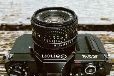 Going Back to Basics - My Week With a Canon EF 50mm f/1.8 II Lens