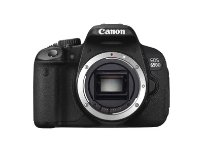 Какой взять объектив для Canon 650D (700D, 600D, 550D)?