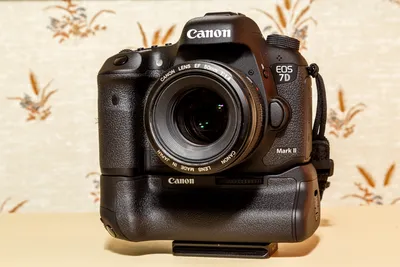 Canon EOS 7D Mark II Image Quality Review | Images by Beaulin Blog