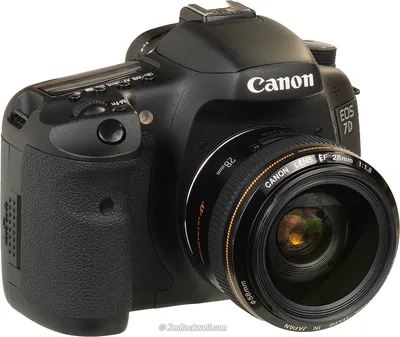 PHOTOGRAPHIC CENTRAL: Canon EOS 7D Review (Bargain Camera Review)