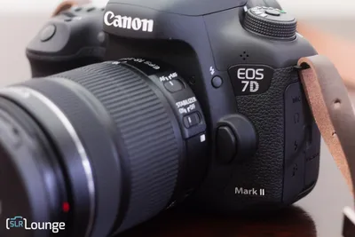 Canon EOS 7D Mark II Review | Photography Blog