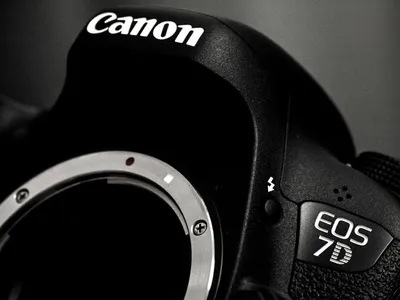 Vernon Chalmers Photography: Canon EOS 7D Mark II For Birds in Flight  Photography